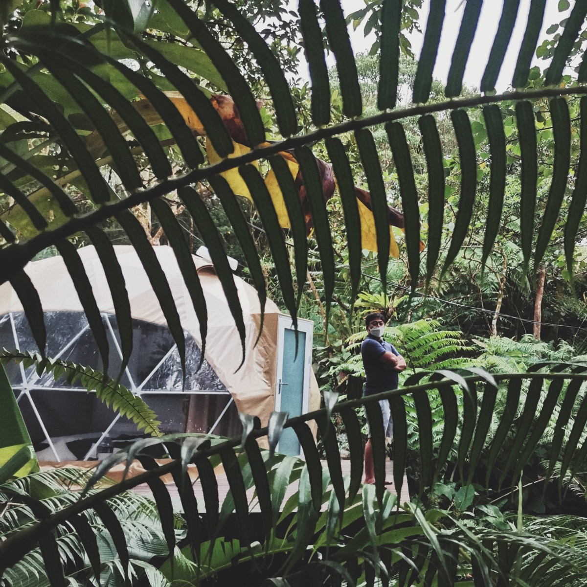 Relax in luxury dome tents amid nature at Juan’s Place